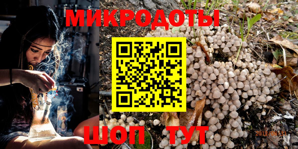 Галлюциногенные грибы Psilocybine cubensis Кропоткин